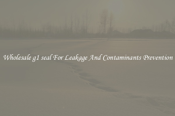 Wholesale g1 seal For Leakage And Contaminants Prevention