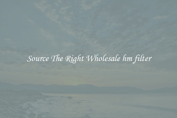 Source The Right Wholesale hm filter