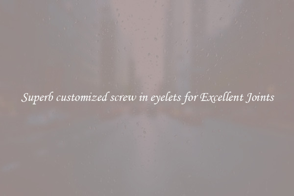 Superb customized screw in eyelets for Excellent Joints