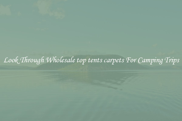 Look Through Wholesale top tents carpets For Camping Trips