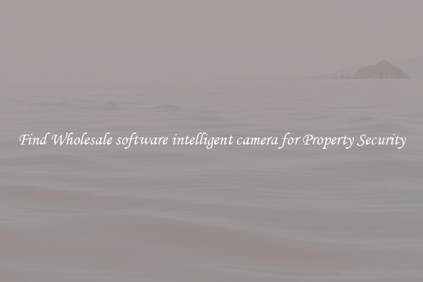 Find Wholesale software intelligent camera for Property Security