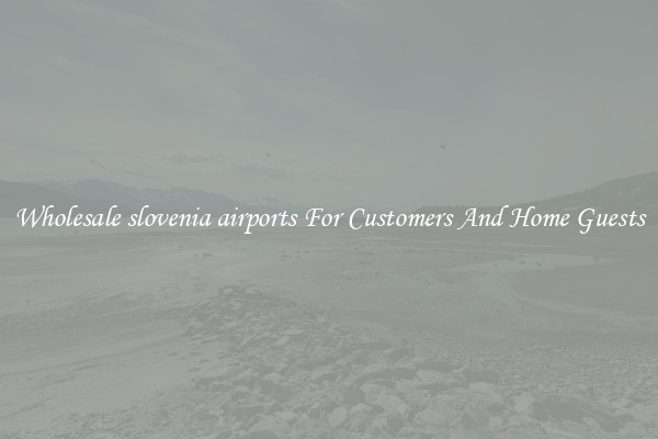 Wholesale slovenia airports For Customers And Home Guests