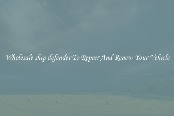 Wholesale ship defender To Repair And Renew Your Vehicle