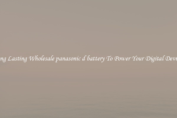 Long Lasting Wholesale panasonic d battery To Power Your Digital Devices