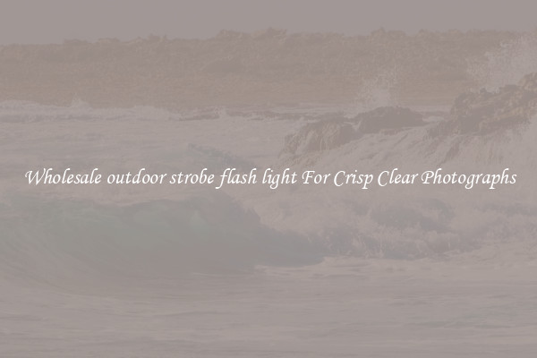 Wholesale outdoor strobe flash light For Crisp Clear Photographs