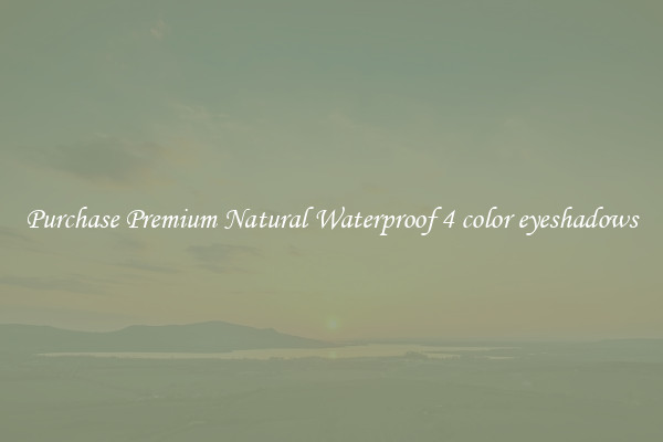 Purchase Premium Natural Waterproof 4 color eyeshadows