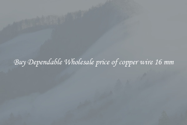 Buy Dependable Wholesale price of copper wire 16 mm