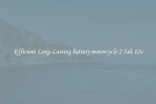 Efficient Long-Lasting battery motorcycle 2 5ah 12v