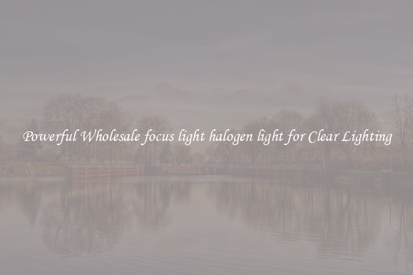Powerful Wholesale focus light halogen light for Clear Lighting