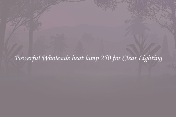 Powerful Wholesale heat lamp 250 for Clear Lighting