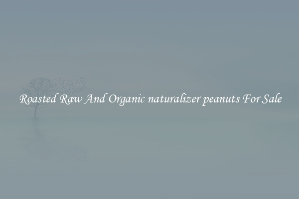 Roasted Raw And Organic naturalizer peanuts For Sale