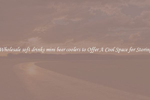 Wholesale soft drinks mini beer coolers to Offer A Cool Space for Storing